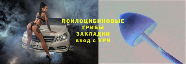jwh Карпинск