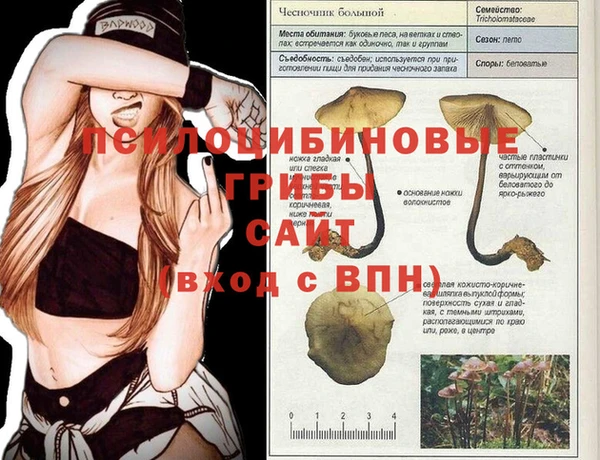 ECSTASY Касимов