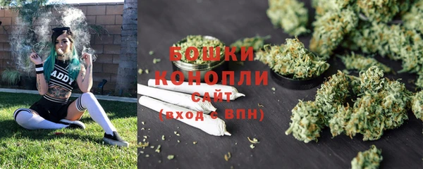 jwh Карпинск