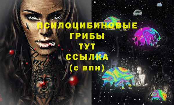 apvp Карталы